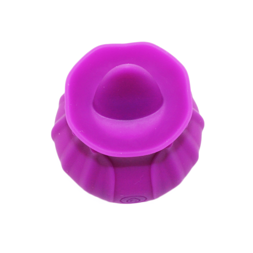 Update Model Roses Shape Sucker for Women Toy - Image 3