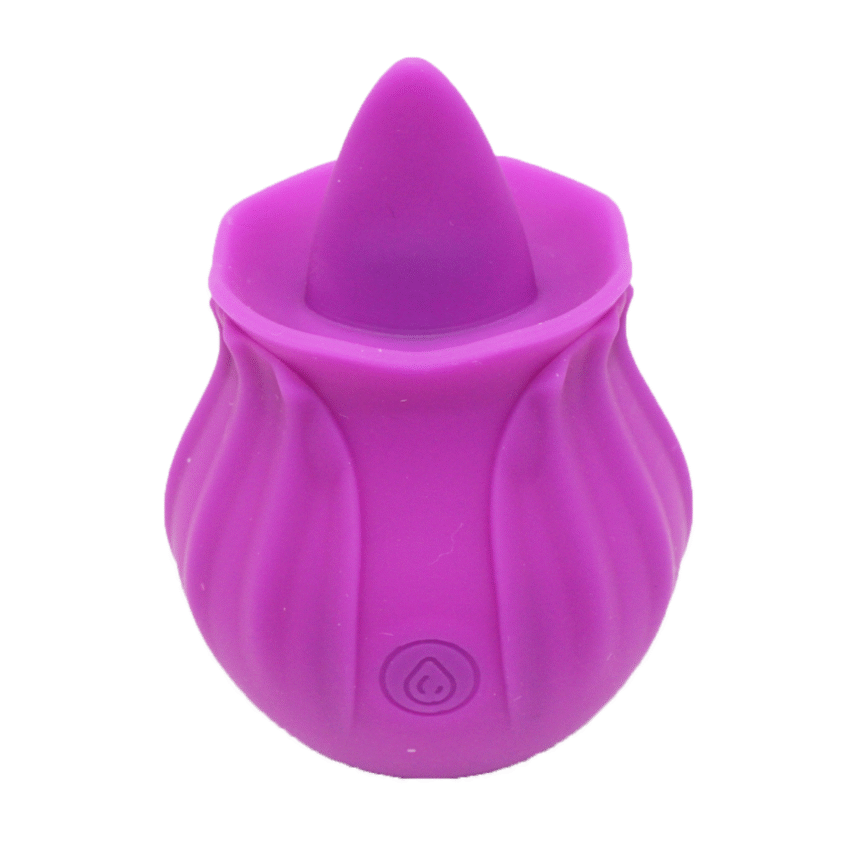 Update Model Roses Shape Sucker for Women Toy - Image 2